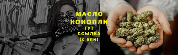 гашик Верея