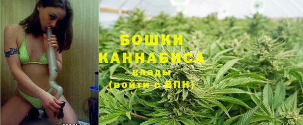 гашик Верея