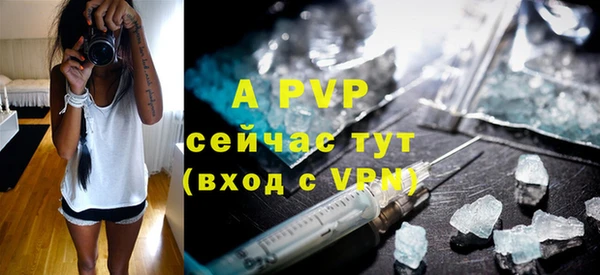 гашик Верея