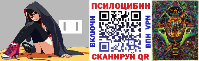 дарк нет формула  как найти   Касимов  Псилоцибиновые грибы GOLDEN TEACHER 